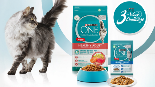 Discover the Purina ONE Range Purina